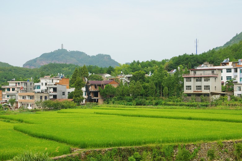 IMGP7329.jpg