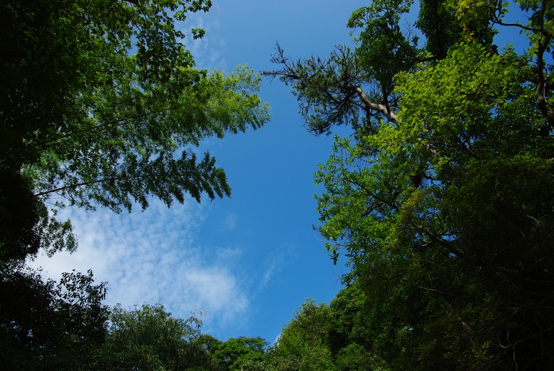 IMGP7718.jpg