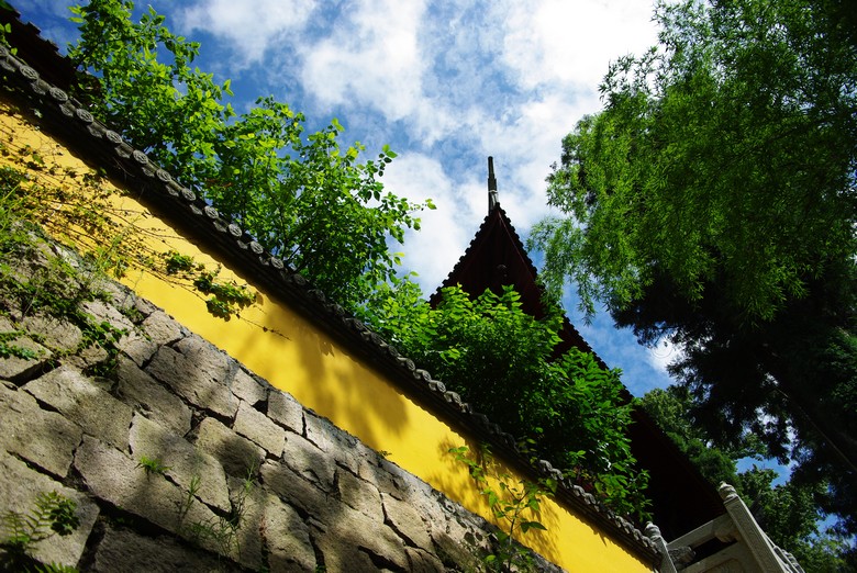 IMGP7740.jpg