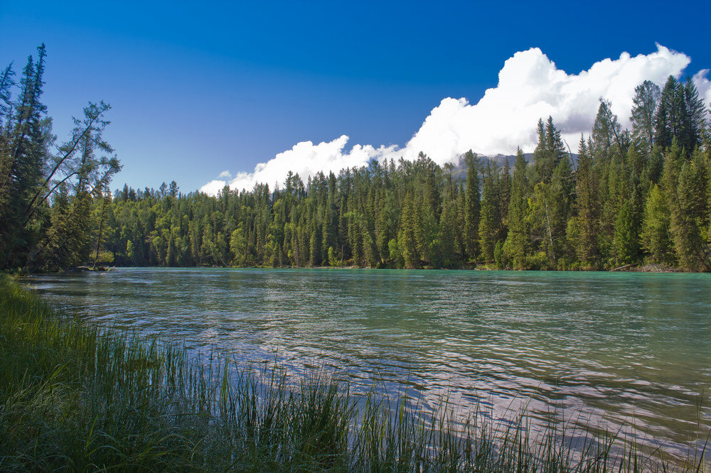 IMG_7799.jpg