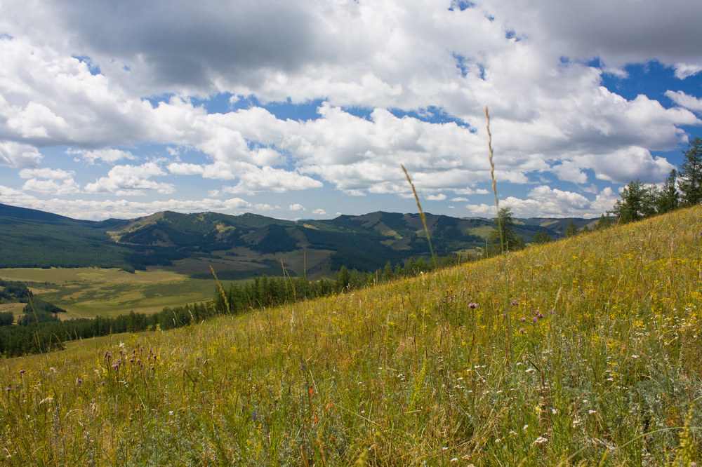 IMG_7849_1.jpg