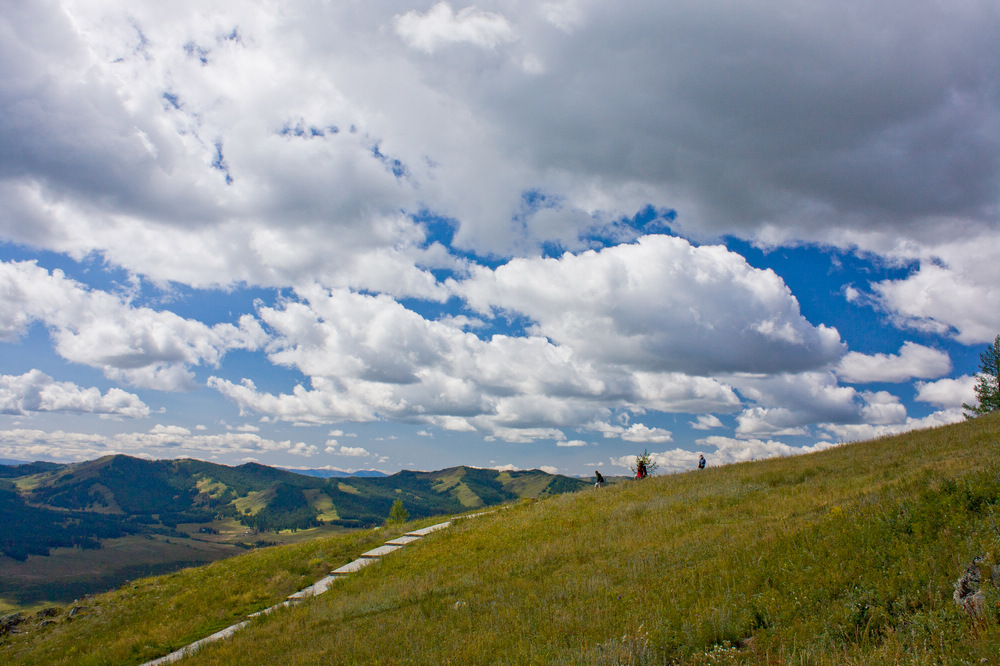 IMG_7850_1.jpg