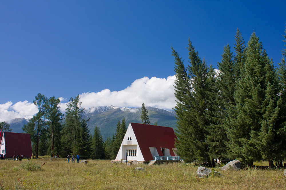 IMG_7783.jpg