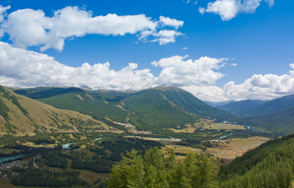 IMG_7835_2.jpg