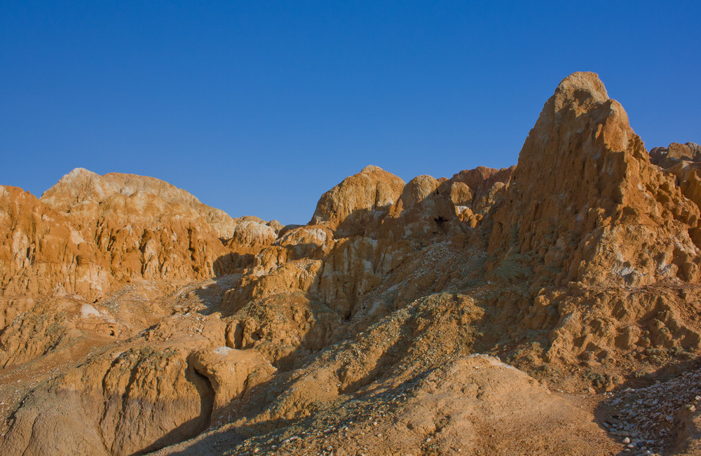 IMG_8050_1.jpg