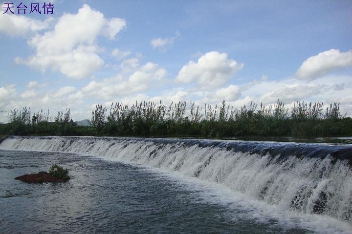 DSC01837.JPG