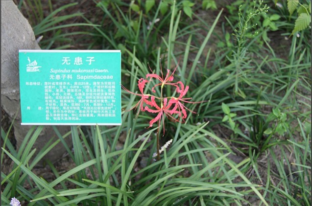 未命名.jpg
