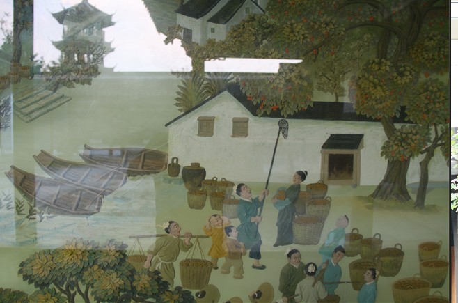 未命名.jpg