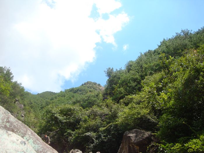 DSC07753.jpg