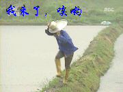 未命名.gif