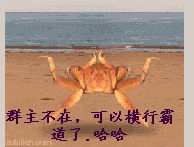 未命名.gif