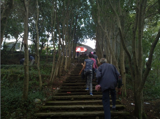 未命名.jpg