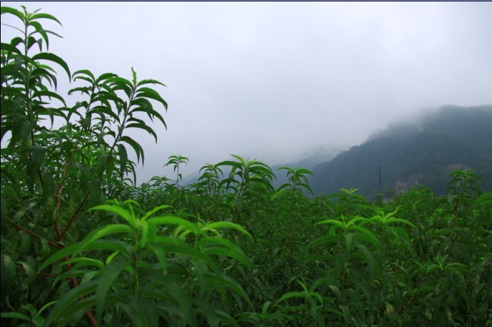 未命名.jpg