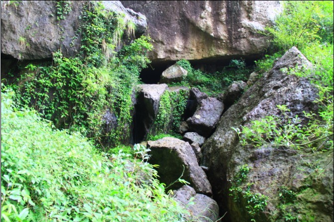 未命名.jpg