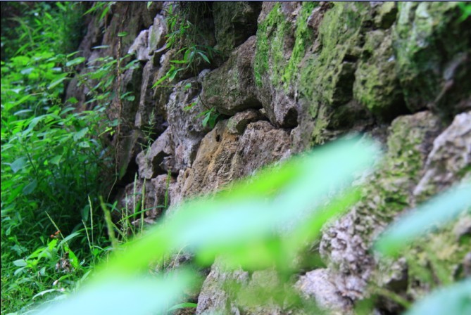 未命名.jpg