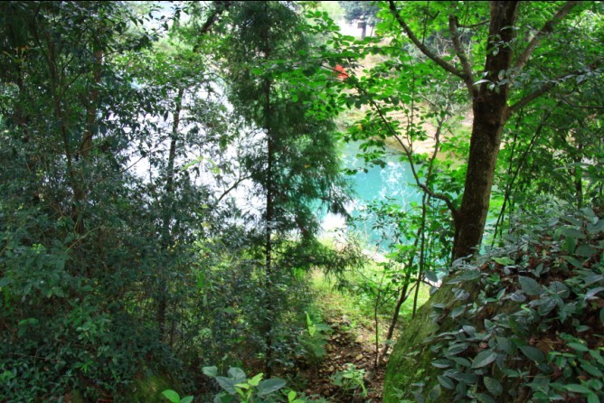 未命名.jpg
