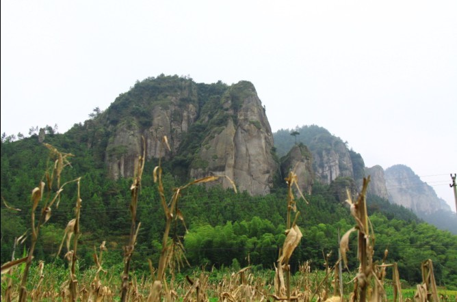 未命名.jpg