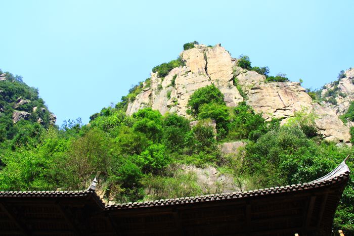照片 346.jpg