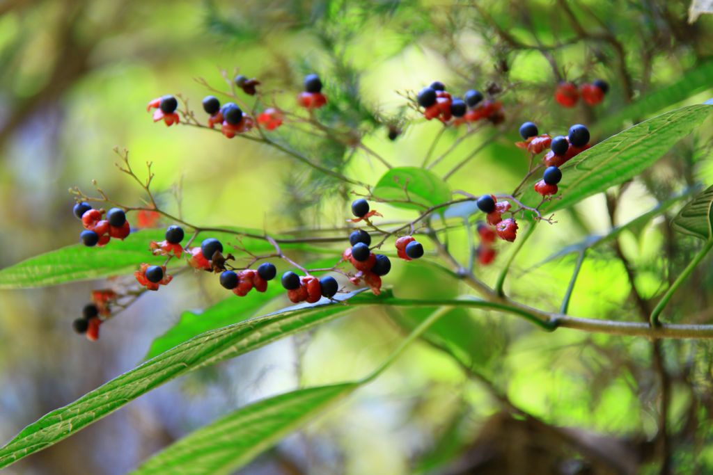照片 380.jpg