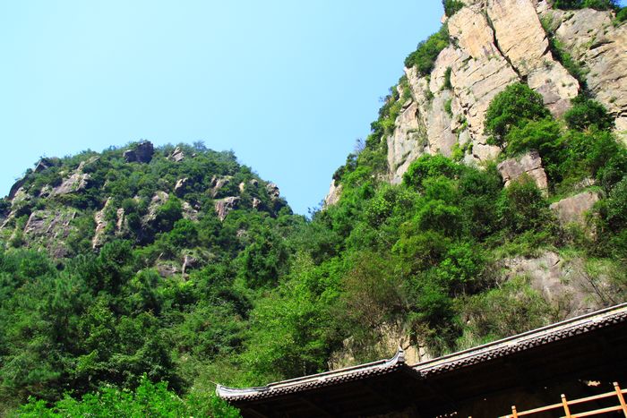 照片 351.jpg