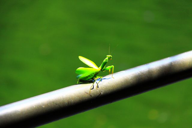 照片 540.jpg