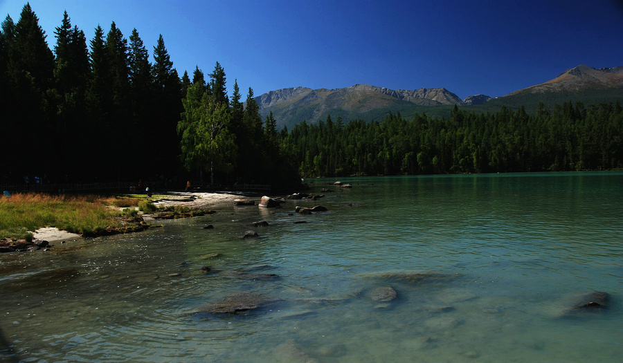 DSC_0044.jpg