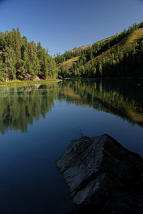 DSC_0293.jpg