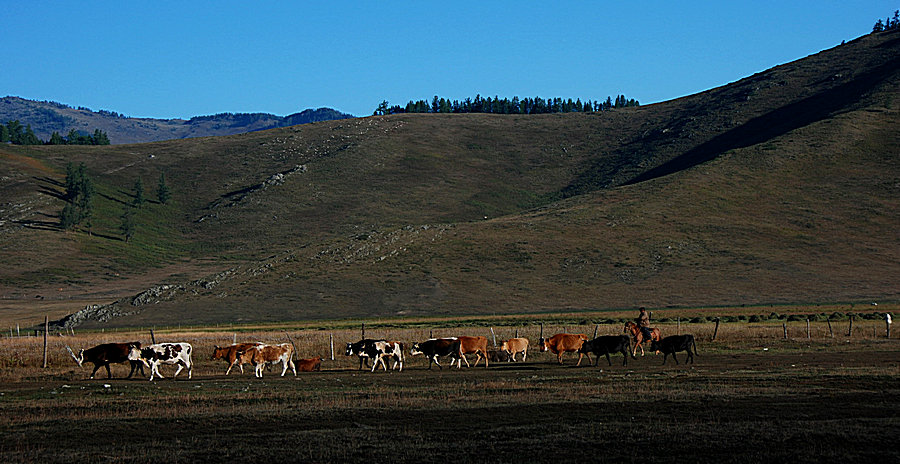DSC_0234.jpg