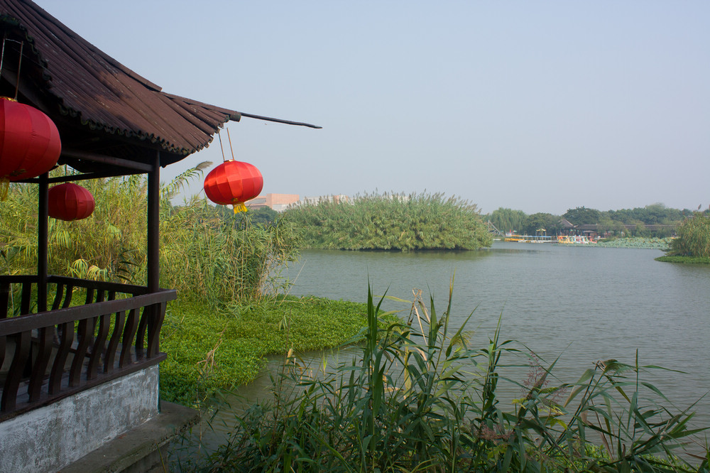 IMG_8849_nEO_IMG.jpg