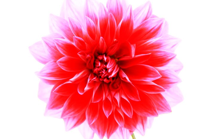 照片 106.jpg