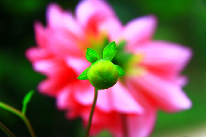 照片 108.jpg