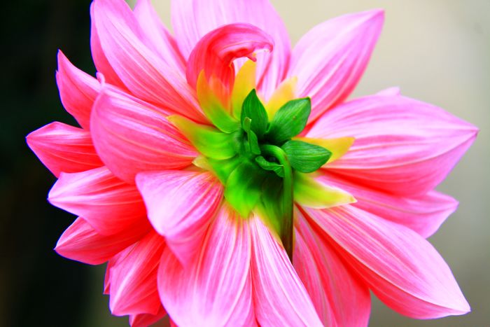 照片 109.jpg