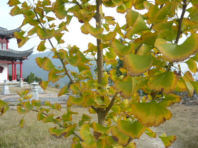 P1040835.JPG