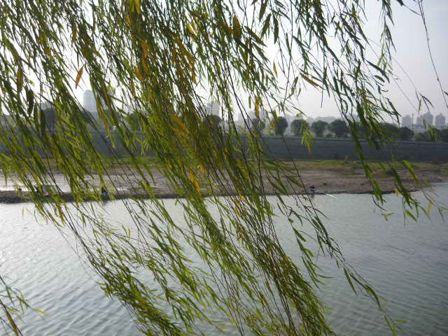 P1040817.JPG