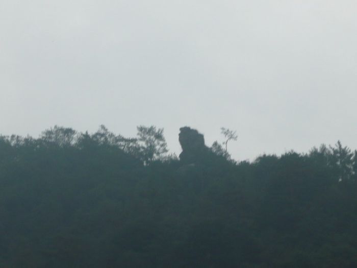 P1040890.JPG