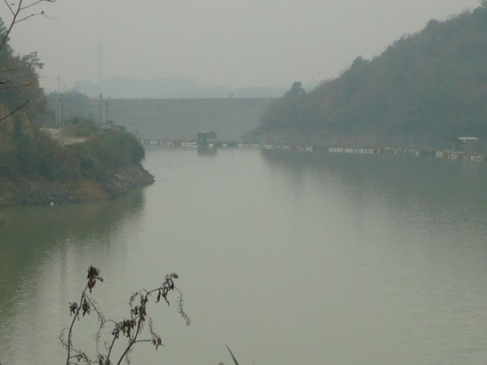 P1040910.JPG