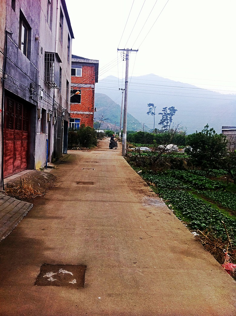 照片 050_conew3.jpg