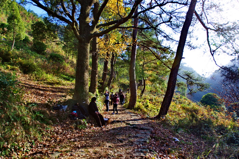 IMG_7276_调整大小.jpg