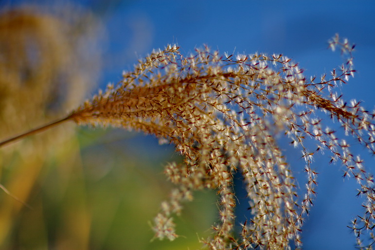 IMG_7258_调整大小.jpg