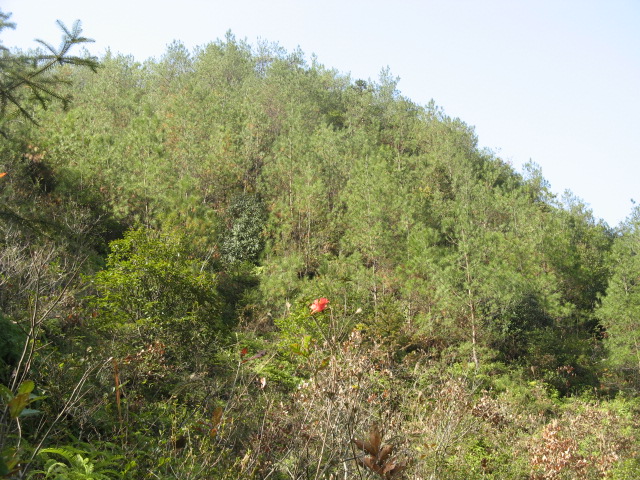IMG_0548.JPG