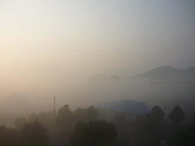 P1050041.JPG