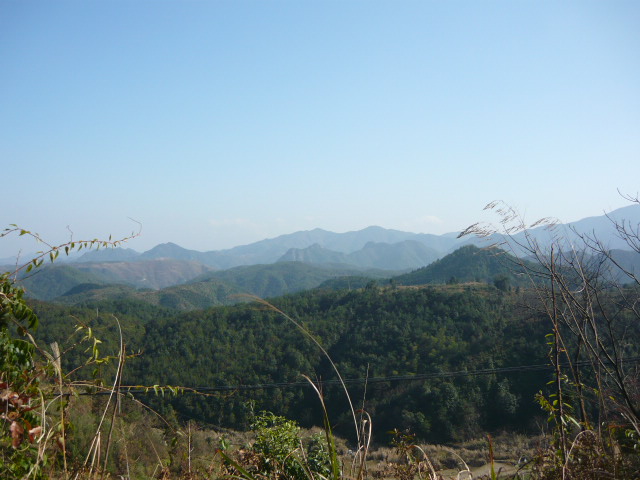 P1050022.JPG