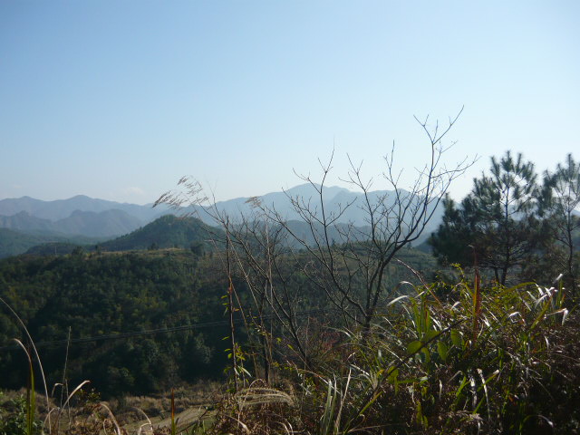 P1050023.JPG
