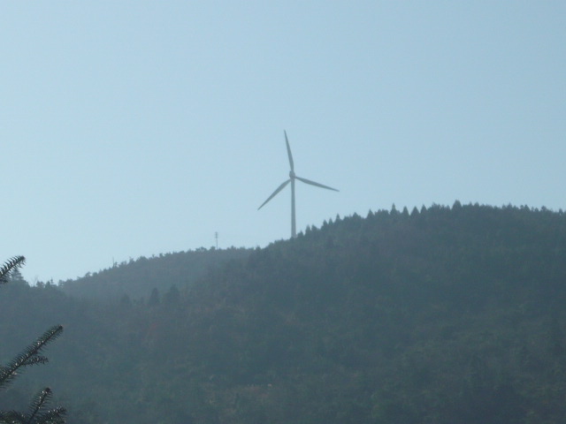 P1050024.JPG