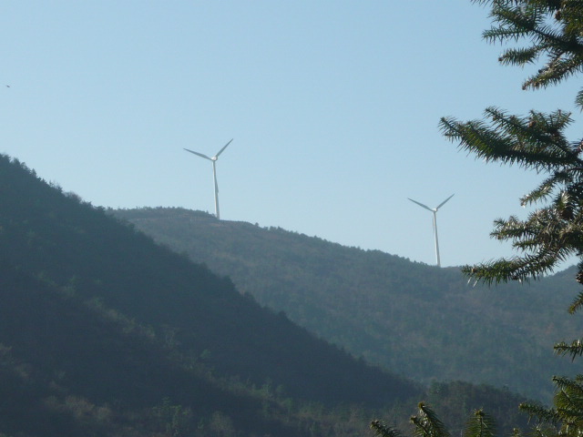 P1050025.JPG