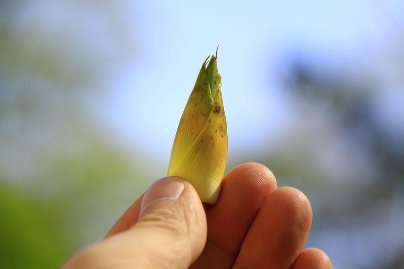 照片 358.jpg
