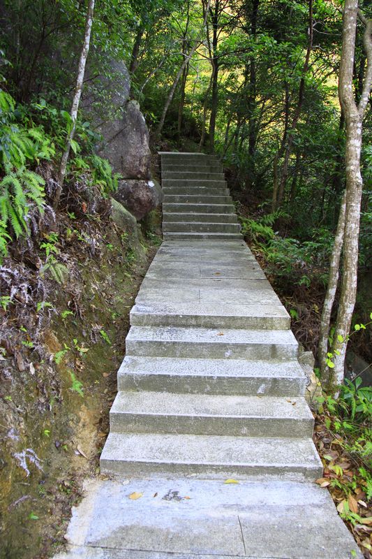 照片 455.jpg