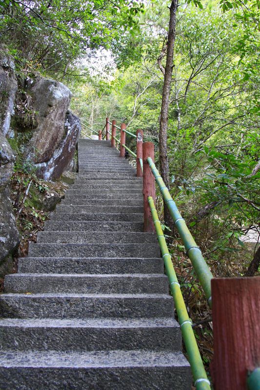 照片 459.jpg
