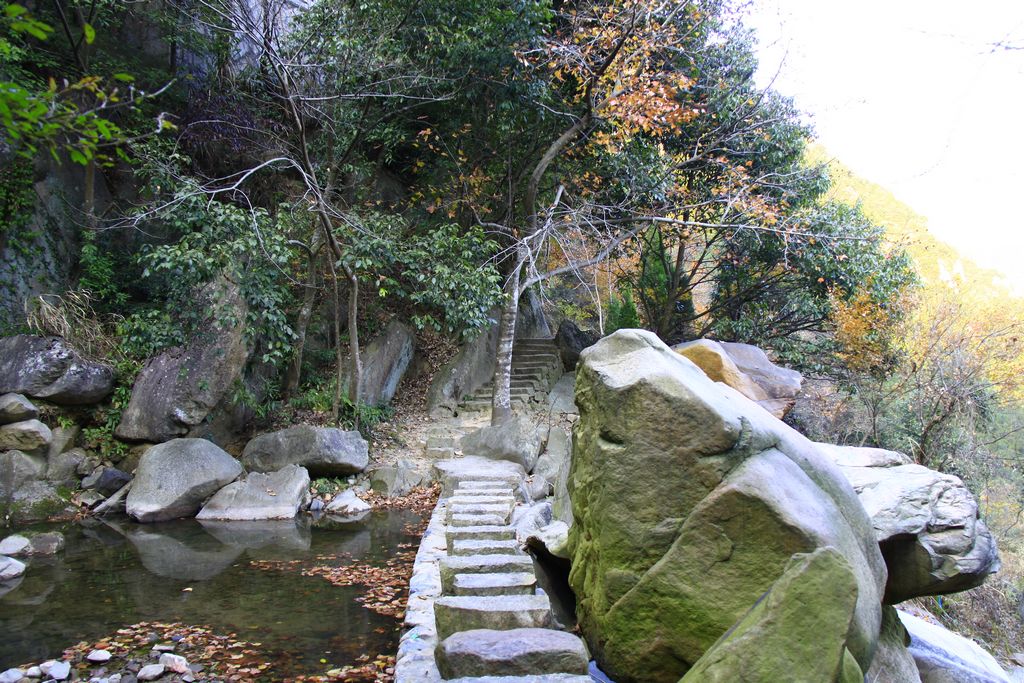 照片 478.jpg