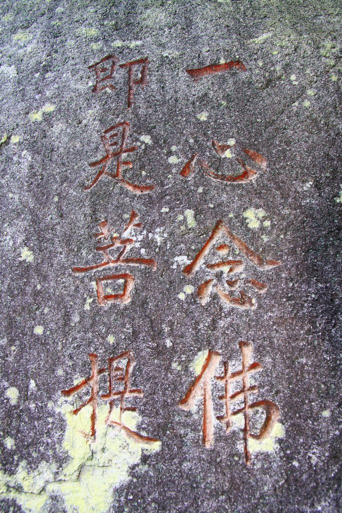 照片 513.jpg